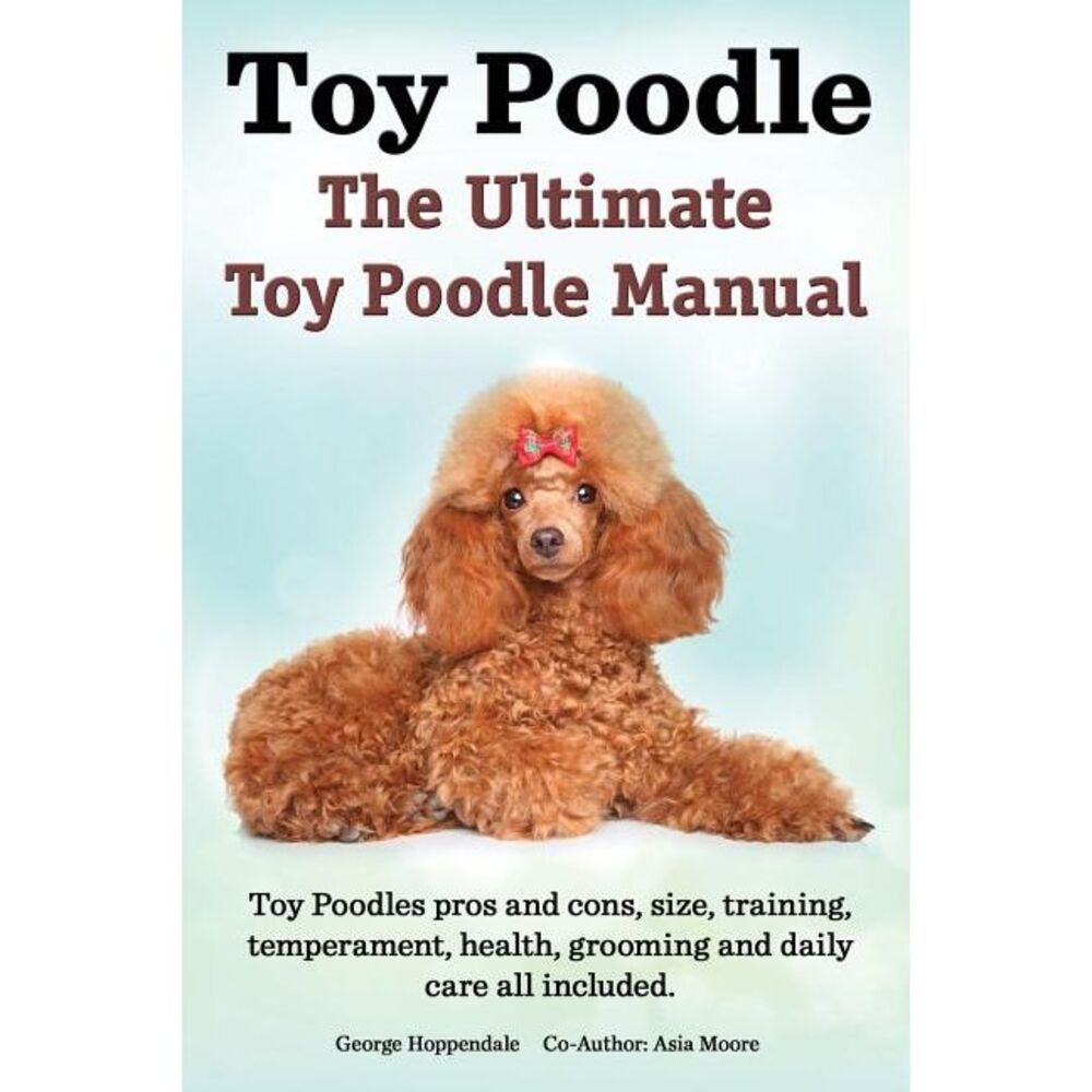 Toy Poodles. the Ultimate Toy Poodle Manual. Toy Poodles Pros and Cons, Size, Tr